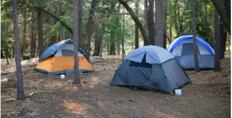 Albany County Fairgrounds Campground