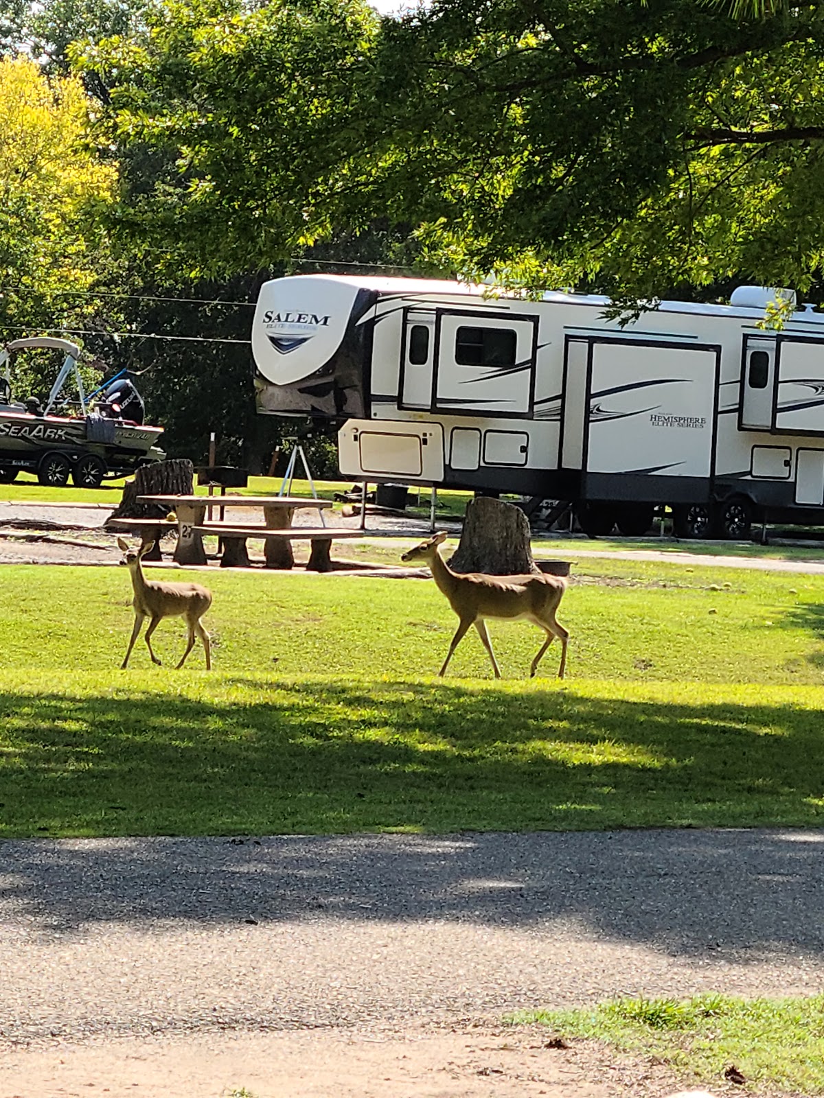 Walnut Creek Park COE