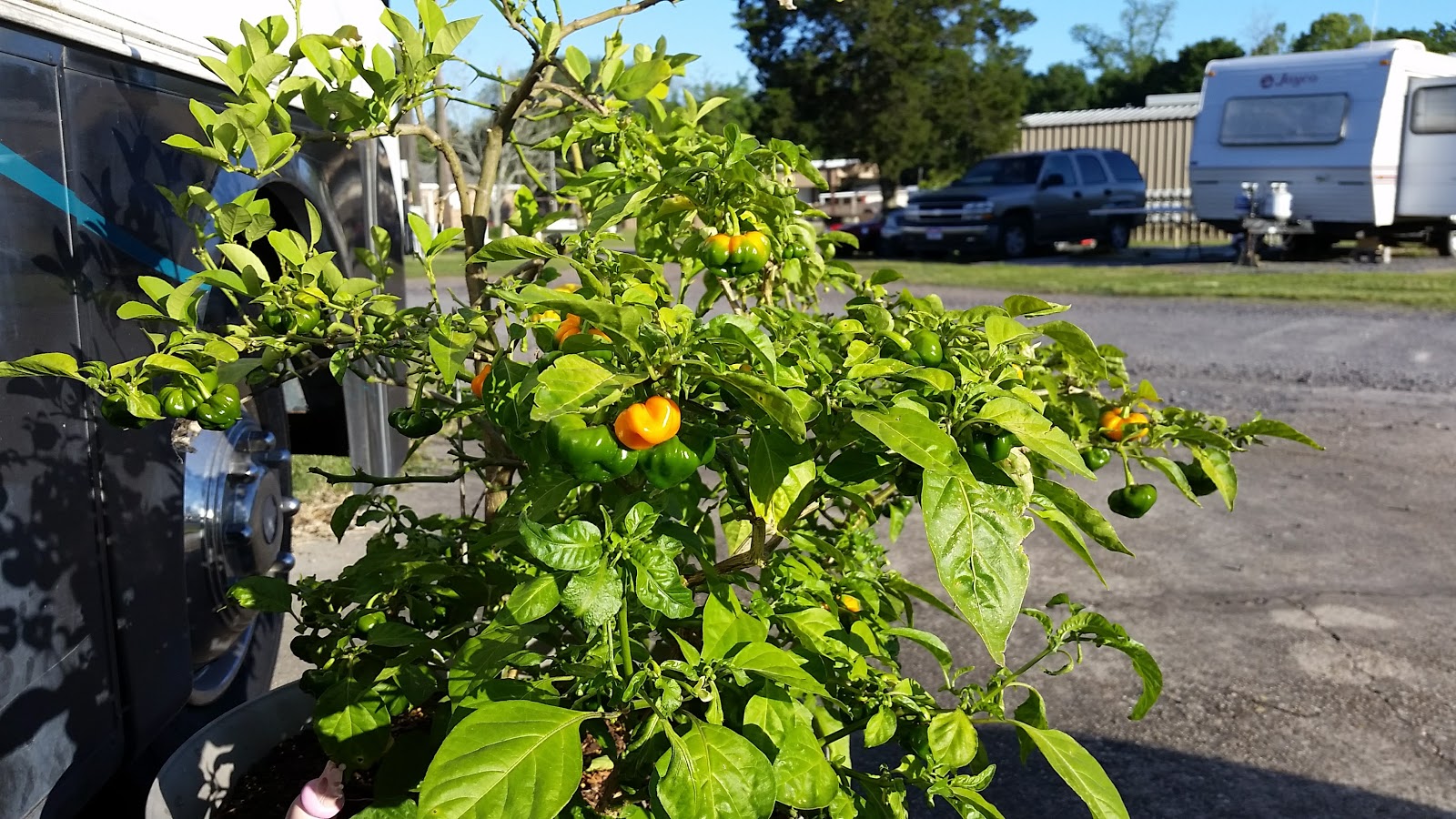 LaPlace Trailer & RV Park LLC