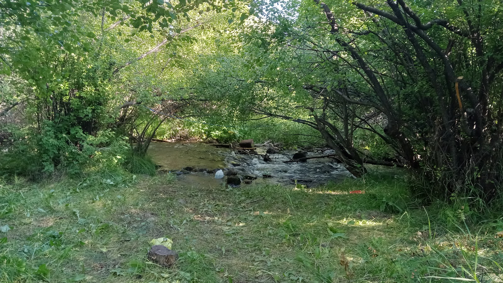 Lake Creek Campground