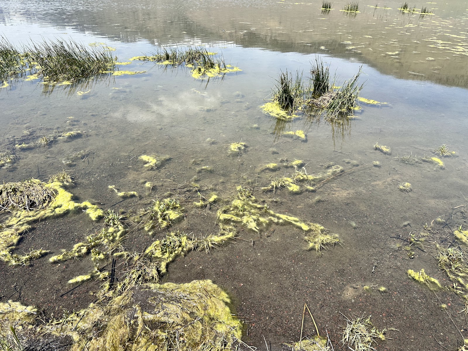 Mann Lake Campground