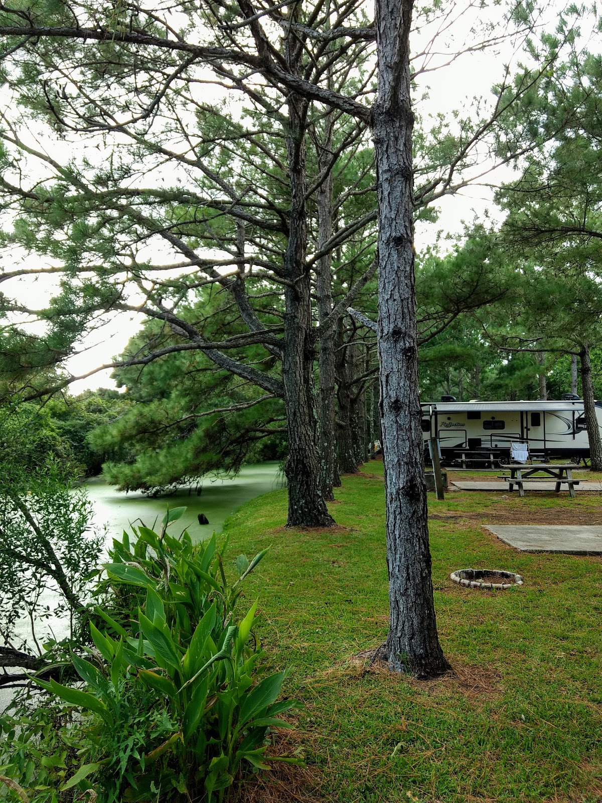 Cape Woods Campground