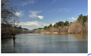 The Lilly Pad at Jack's Isle