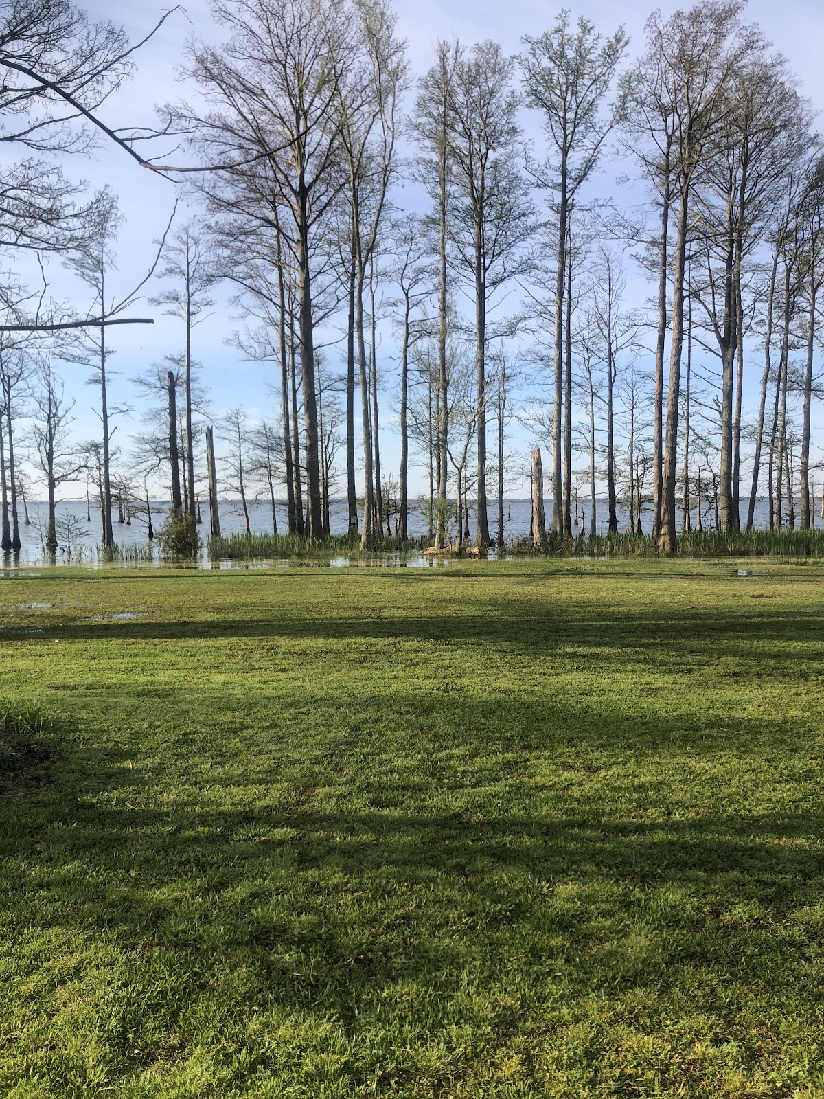 Osprey Nest Campground