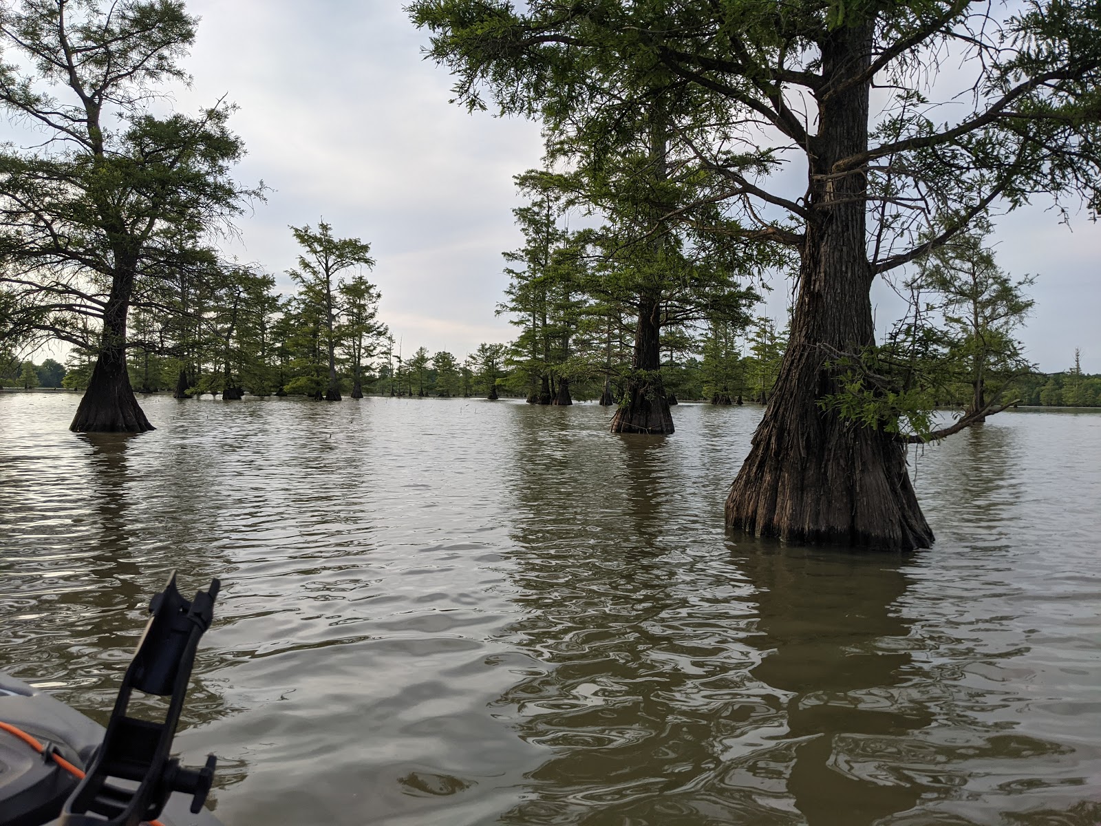 Big Lake National Wildlife Refuge