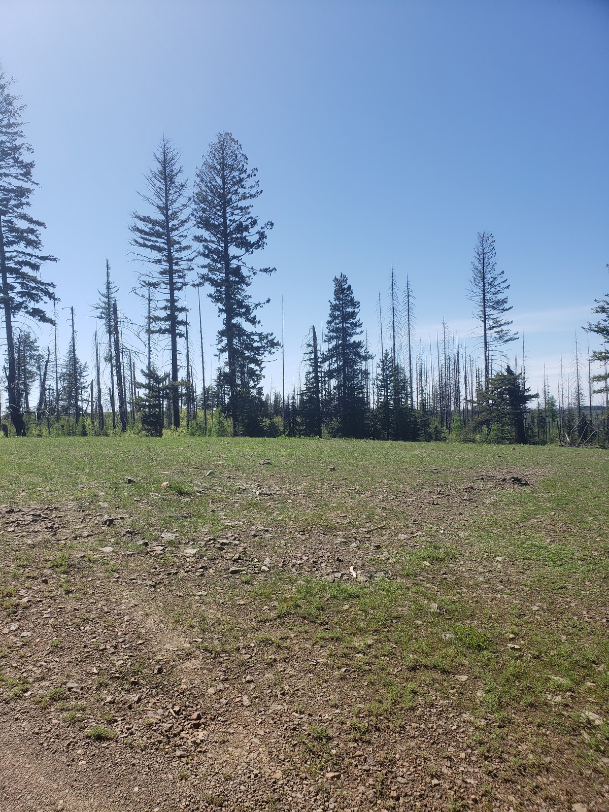 Teal Spring Campground