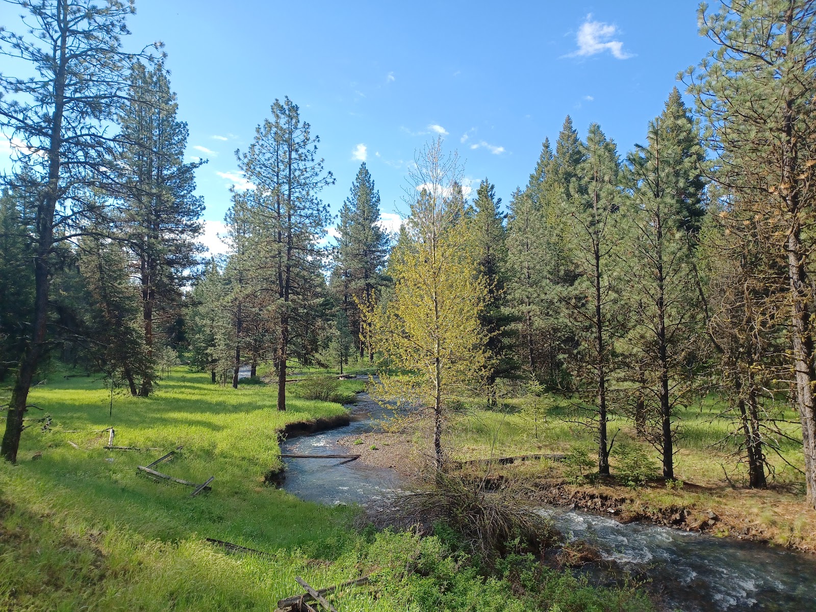 Spring Creek Campground
