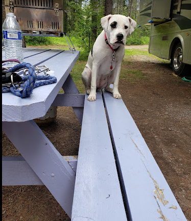 Moose Creek RV Park and B&B