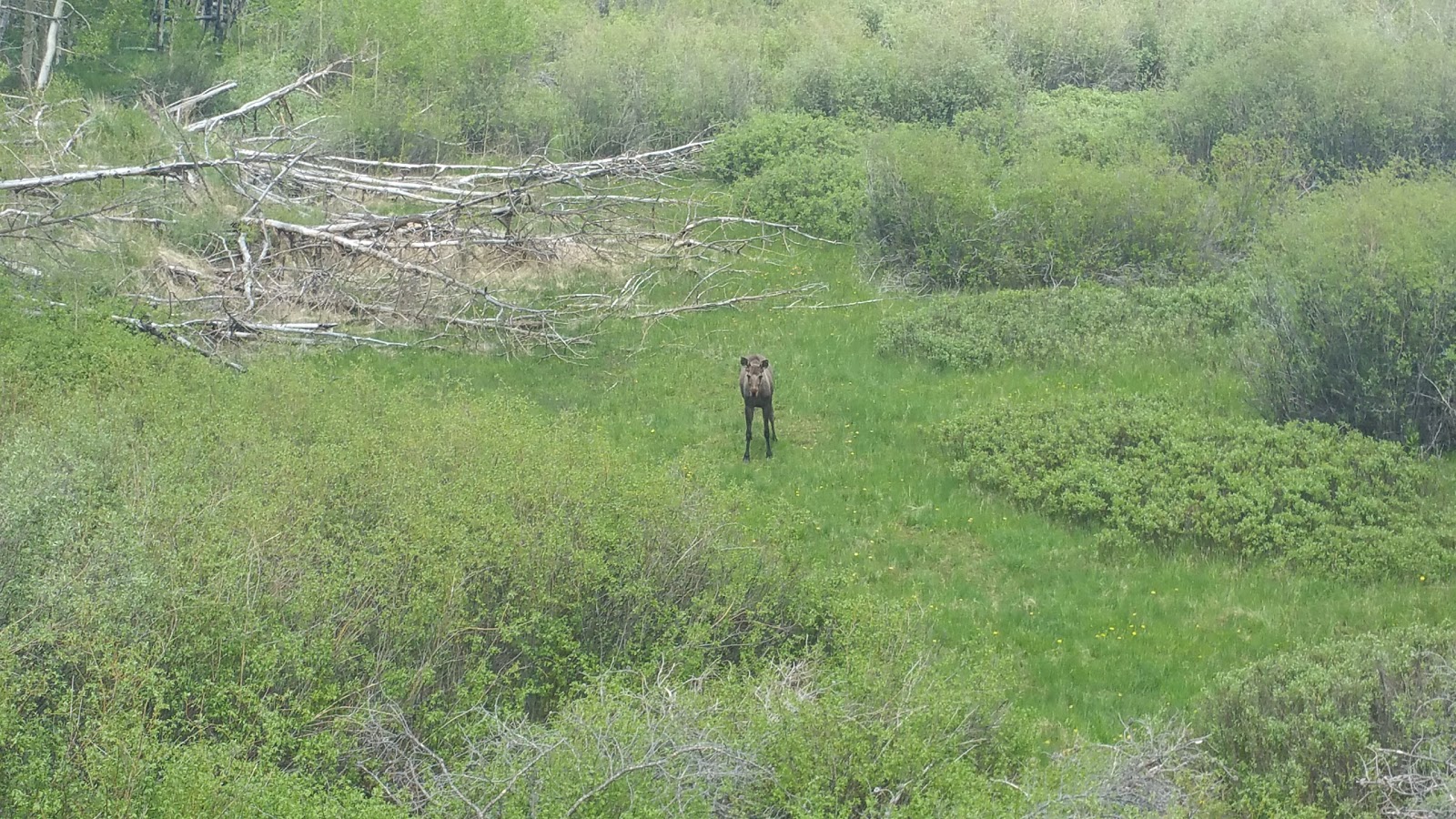 Denver Creek Campground