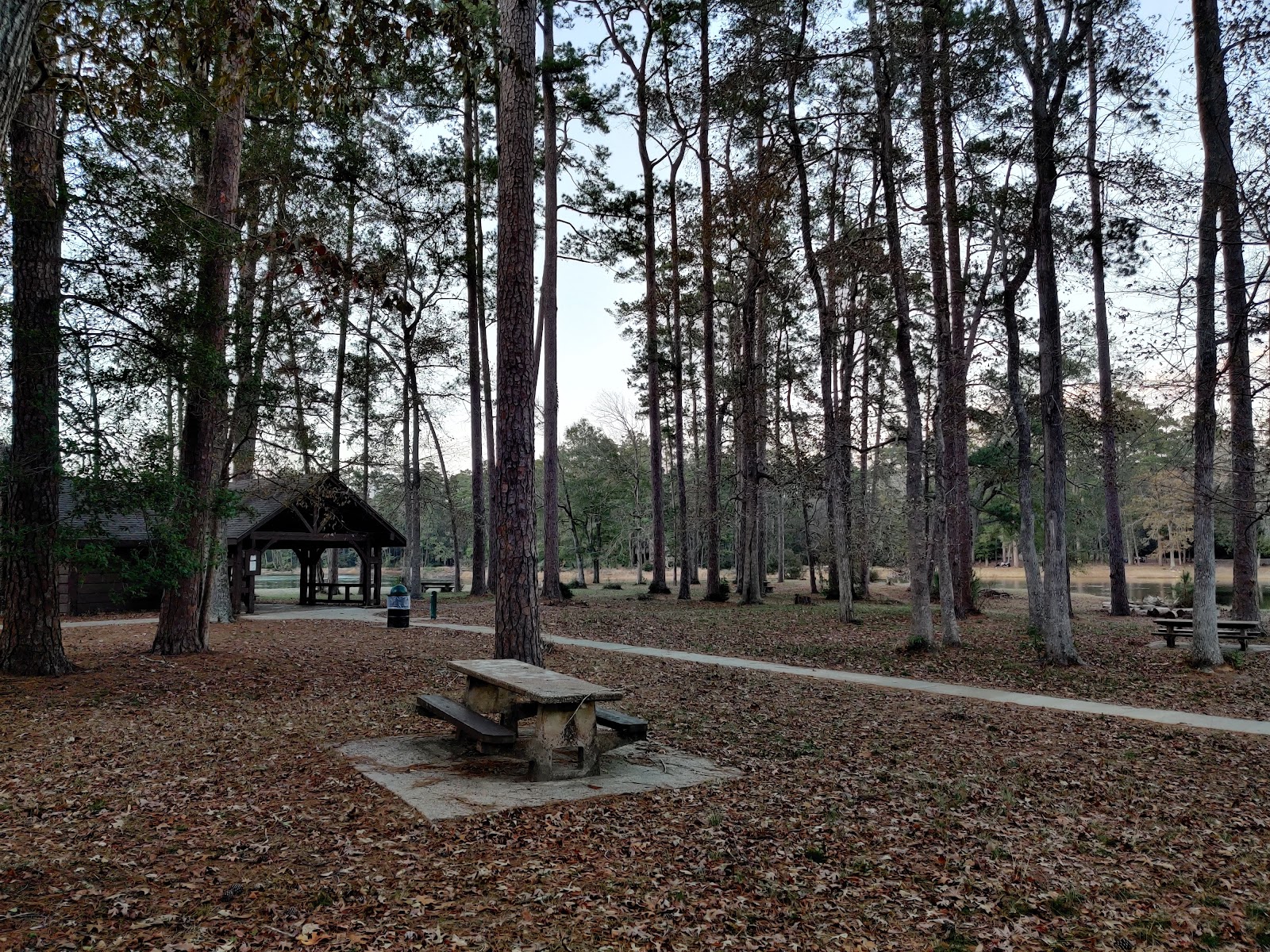 Double Lake NF Campground