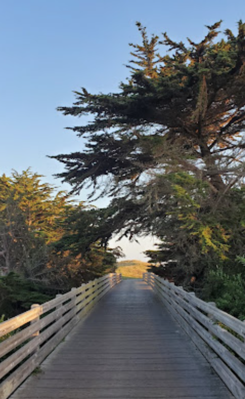 Pelican Point RV Park