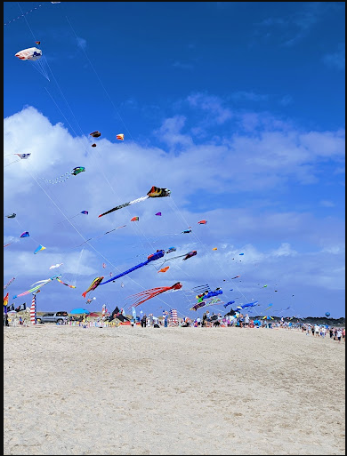 Fort Fisher State Recreation Area