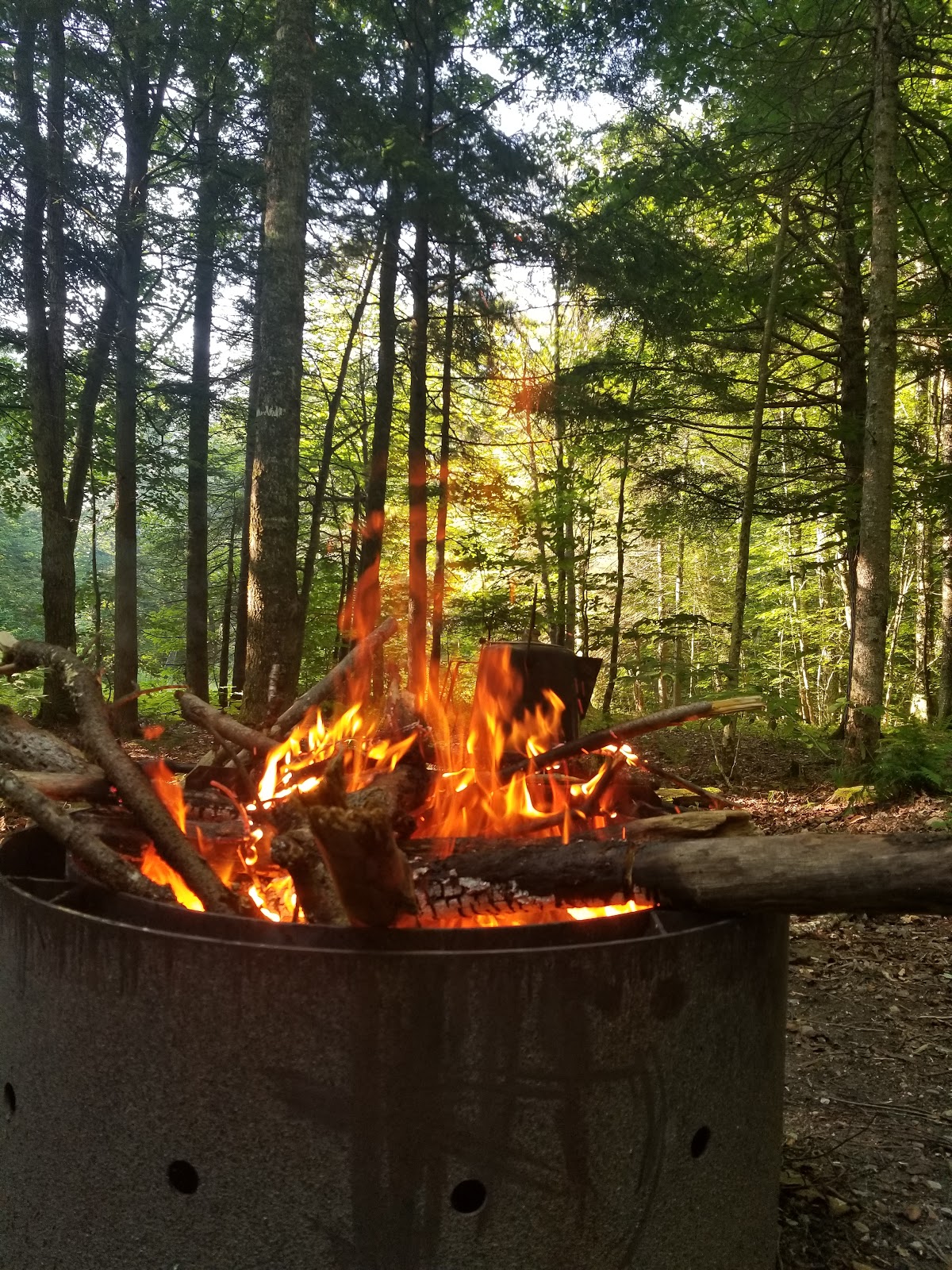 Greendale NF Campground