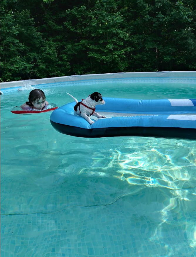 Spring Gardens Mobile Home Park