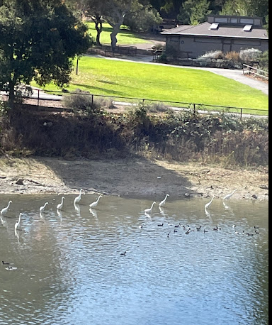 Mount Diablo State Park