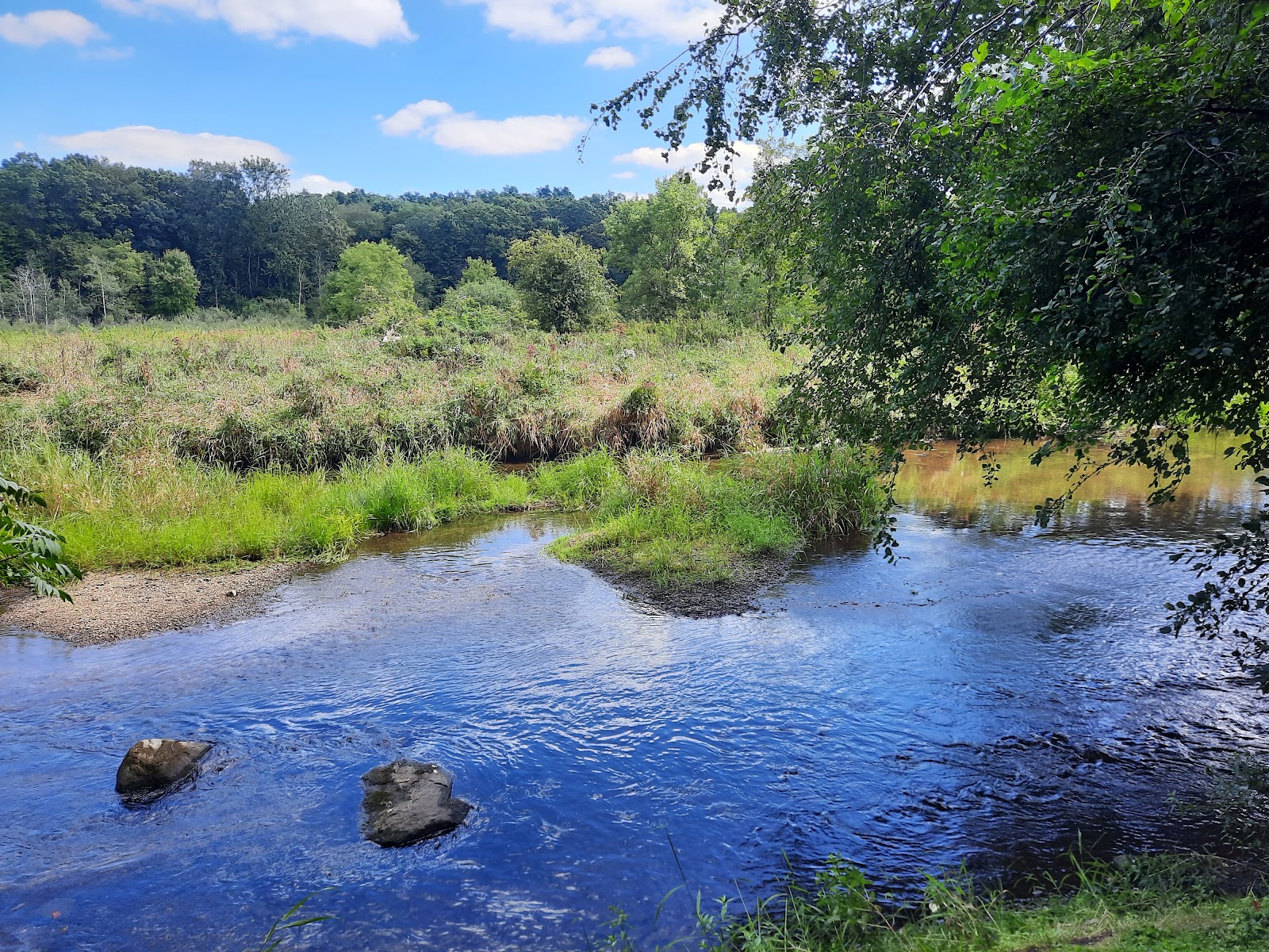 Way-Back-In-Campground