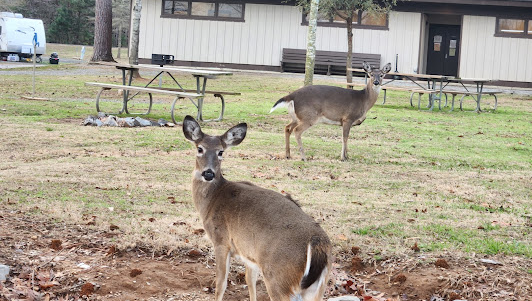 Main - Lake Guntersville State Park