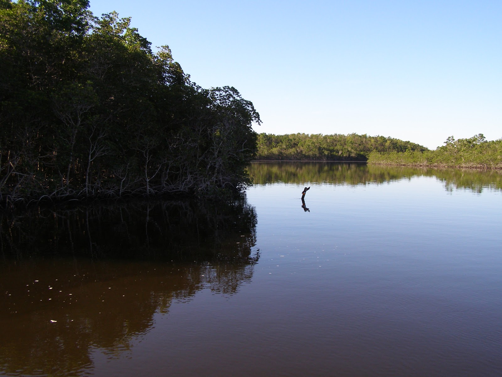 Backcountry Watson River Chickee - Everglades National Park