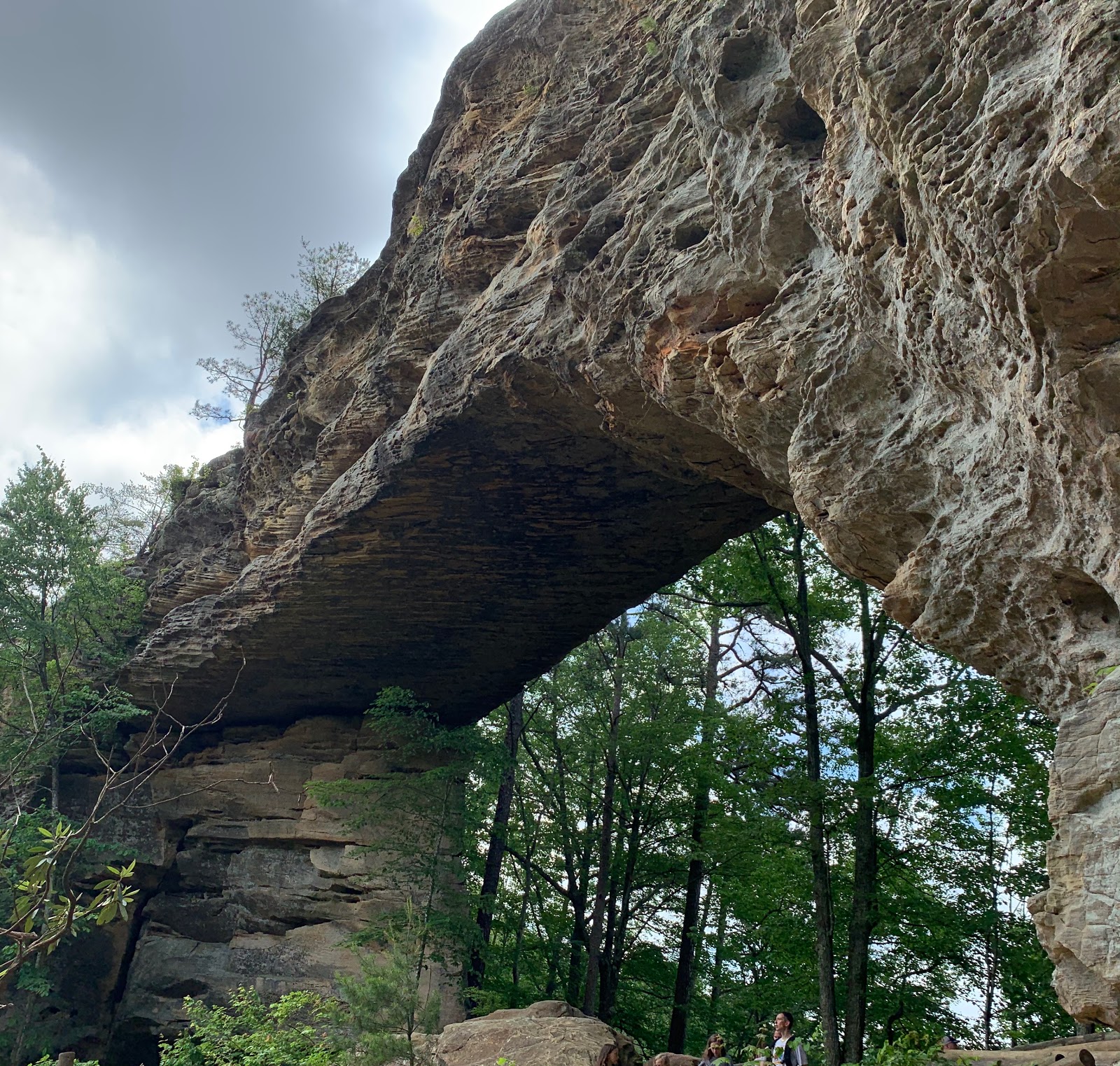 Natural Bridge State Resort Park