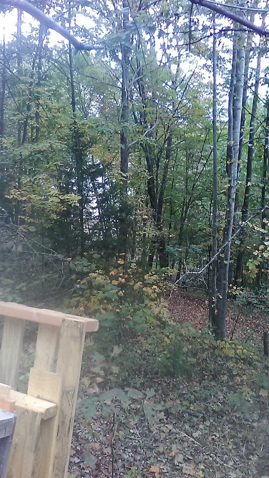 Blue Ridge Campgroud and Marina