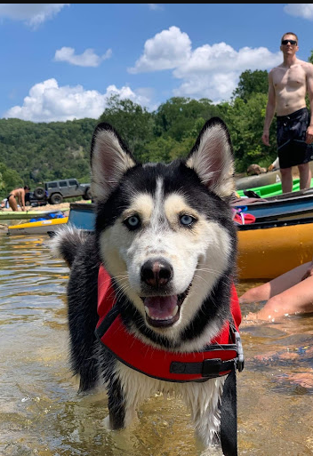 James Rivers Outfitters