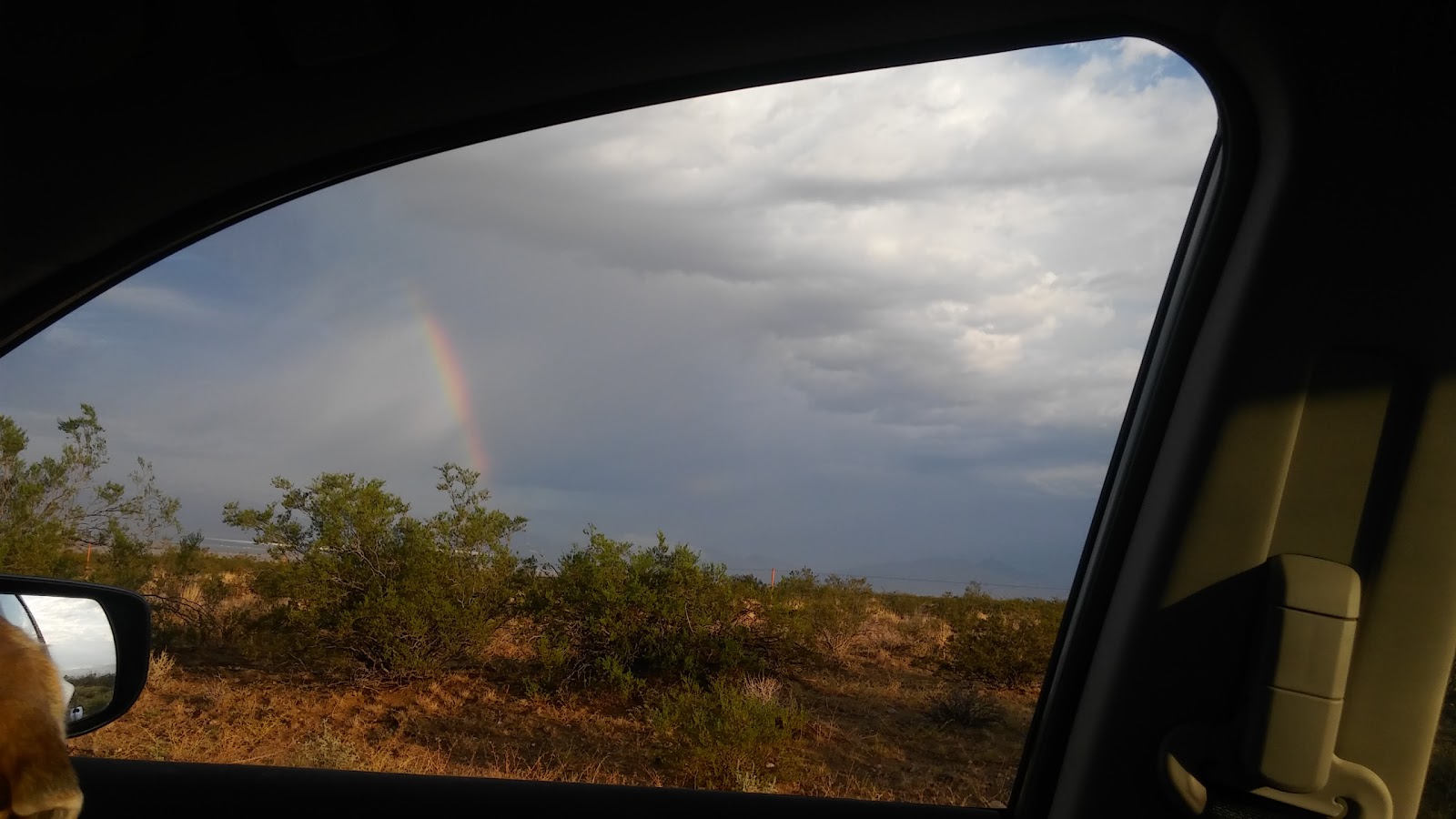 Cree’s Mobile Home Park Camping