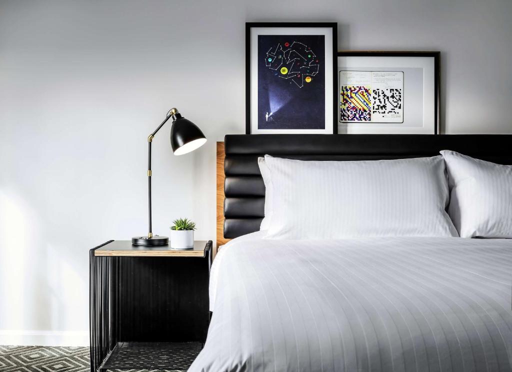 Boulder Beach Campground - Lake Mead National Rec Area