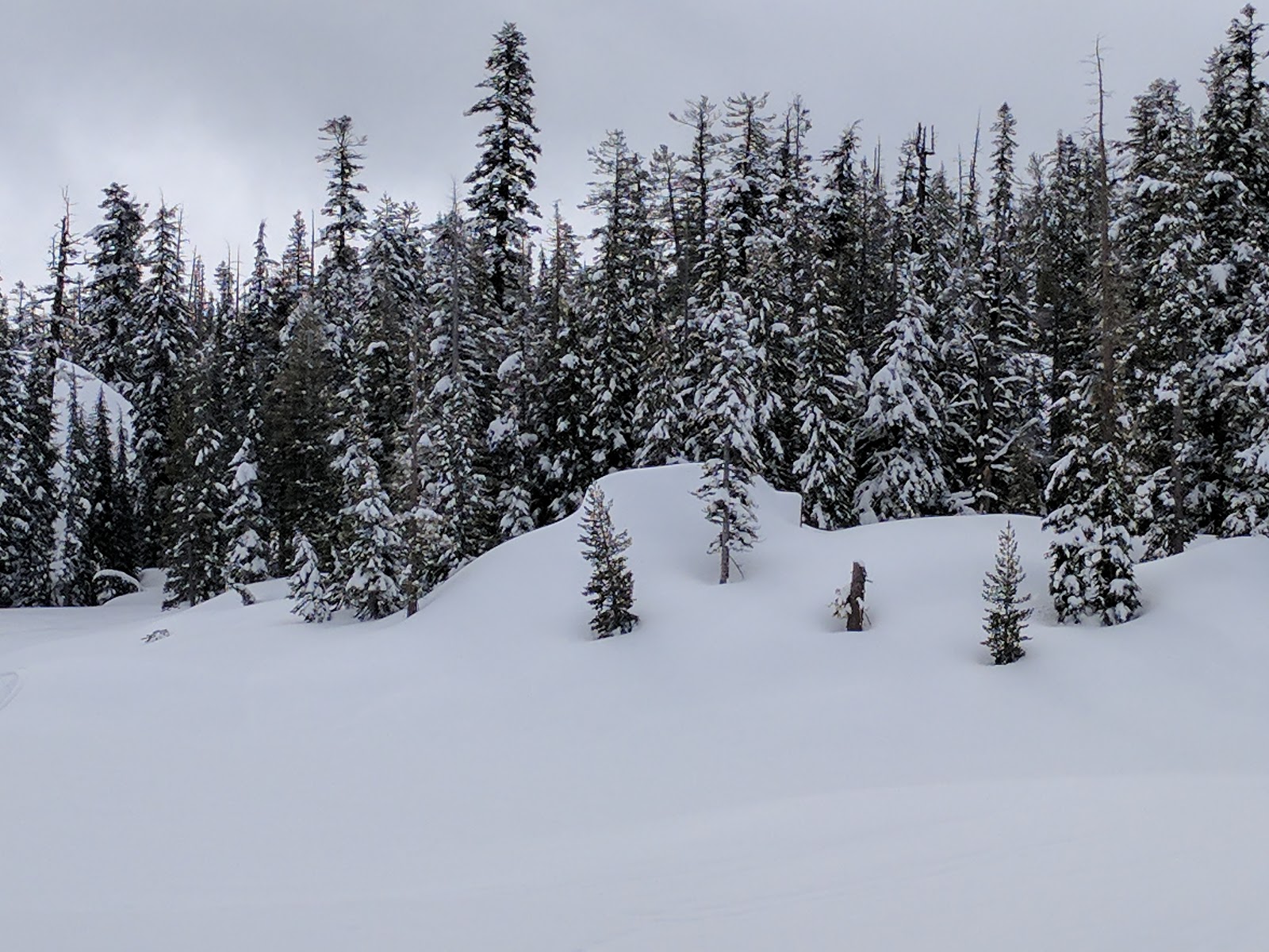 Mosquito Lakes Campground