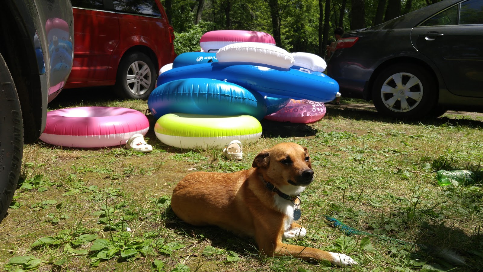 Wapiti Park Campgrounds