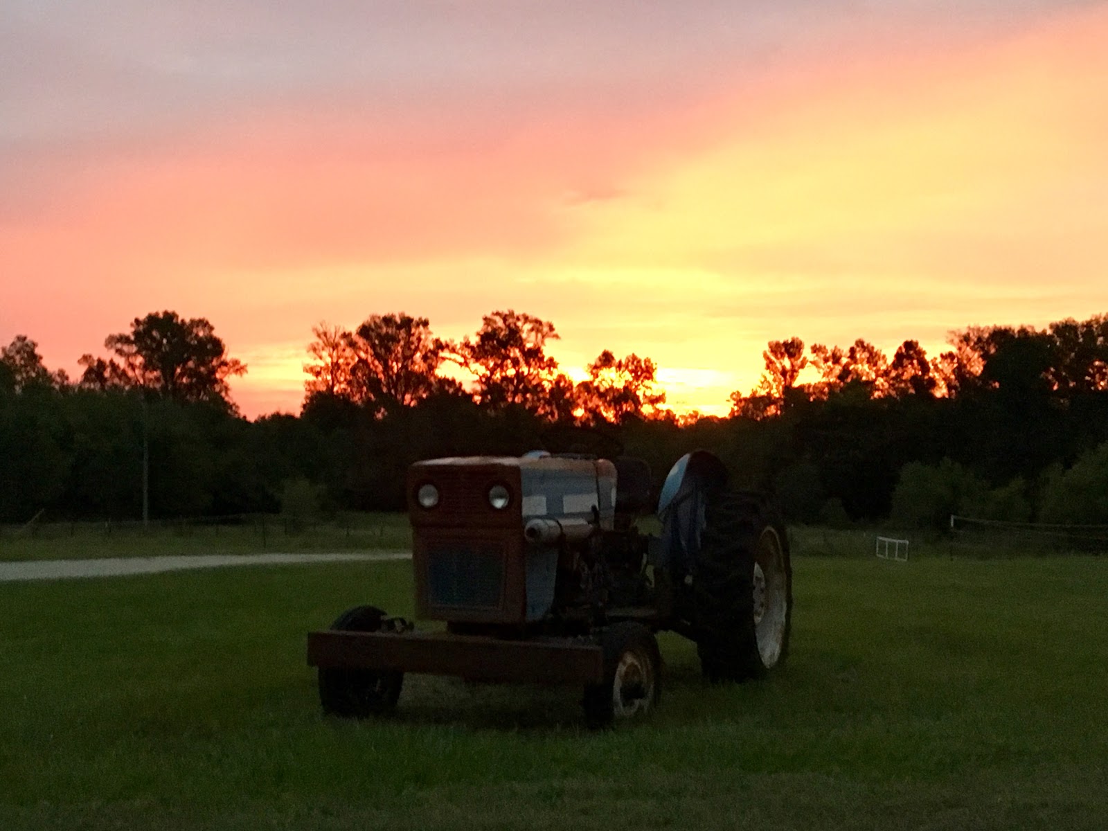 My Favorite Campground