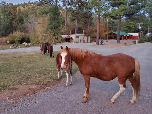Eagle Creek RV Resort
