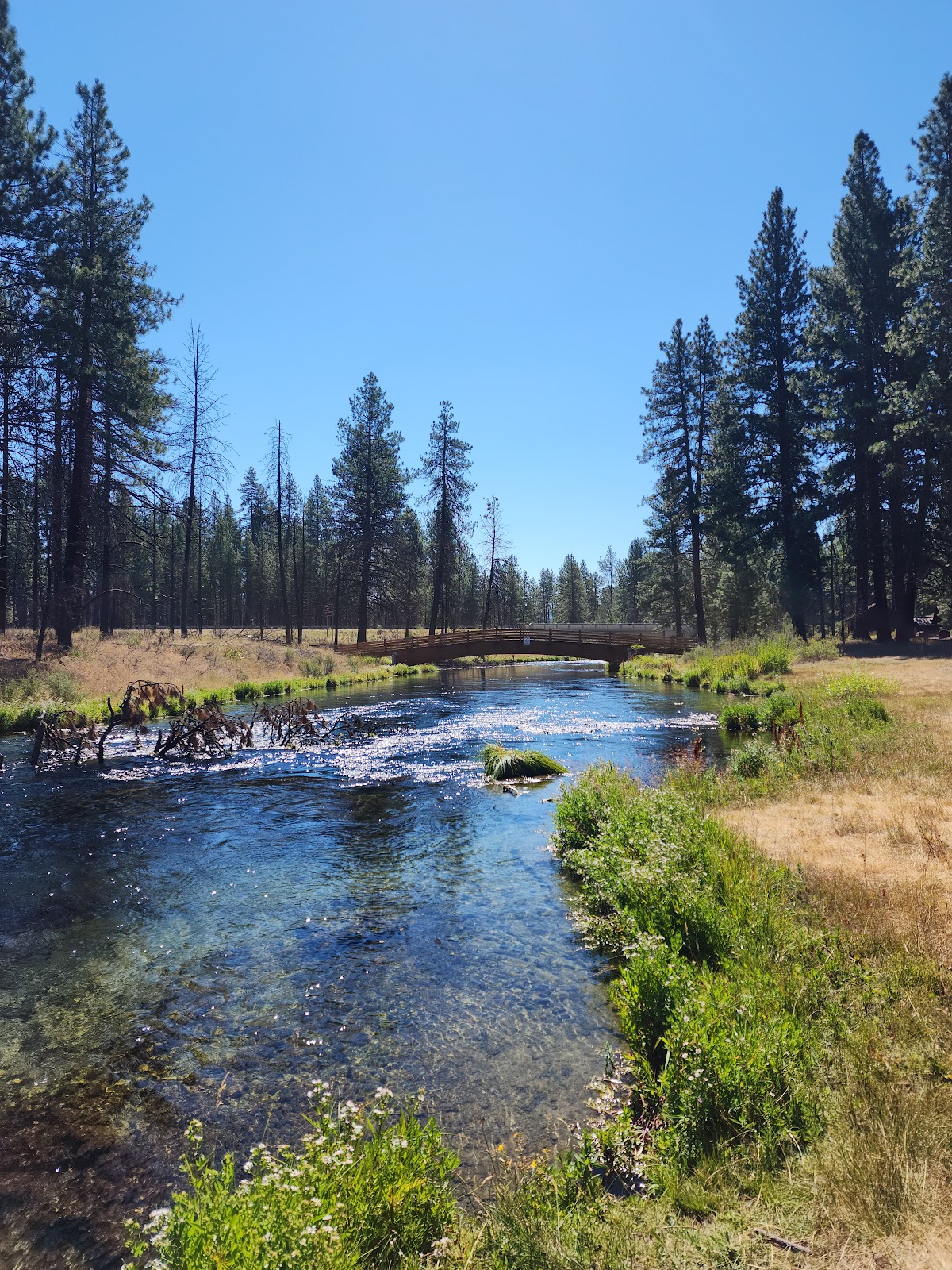 Collier Memorial State Park
