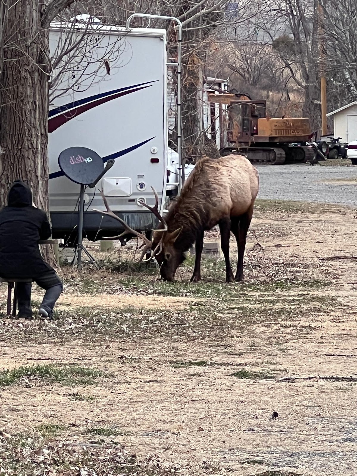 Seeping Springs Trout Lakes