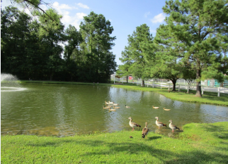 Peace Of Country RV Park