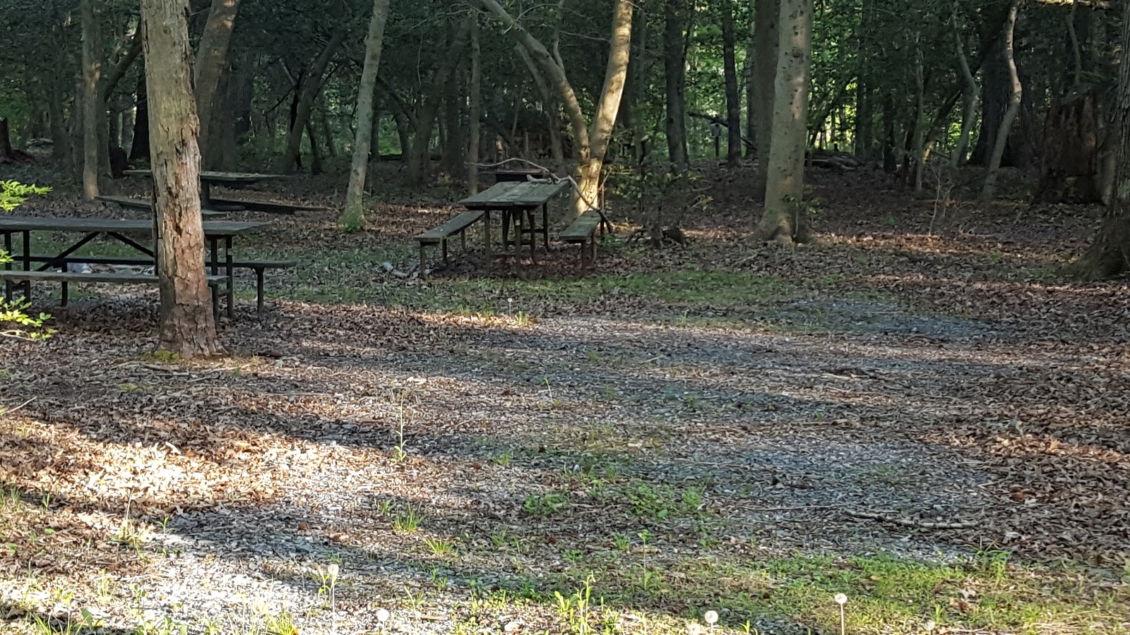 Skippers Point Recreation Area