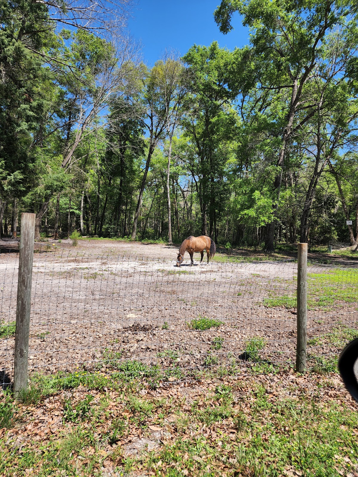 Ichetucknee Family Campsites