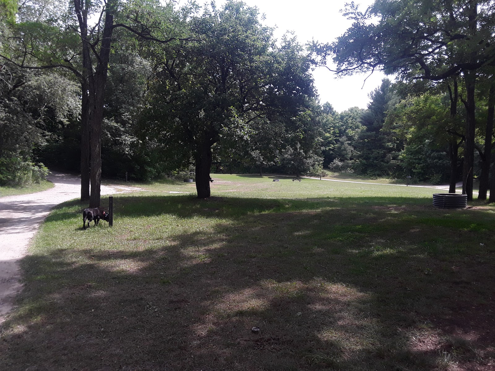 Garey Lake Trail Camp