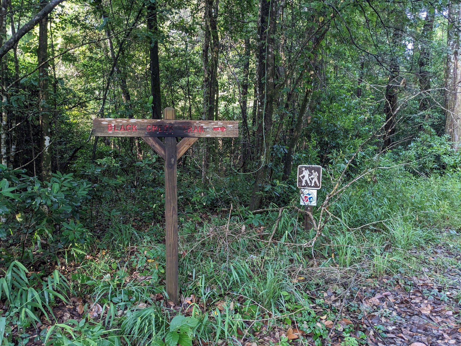 Fairley Bridge Landing