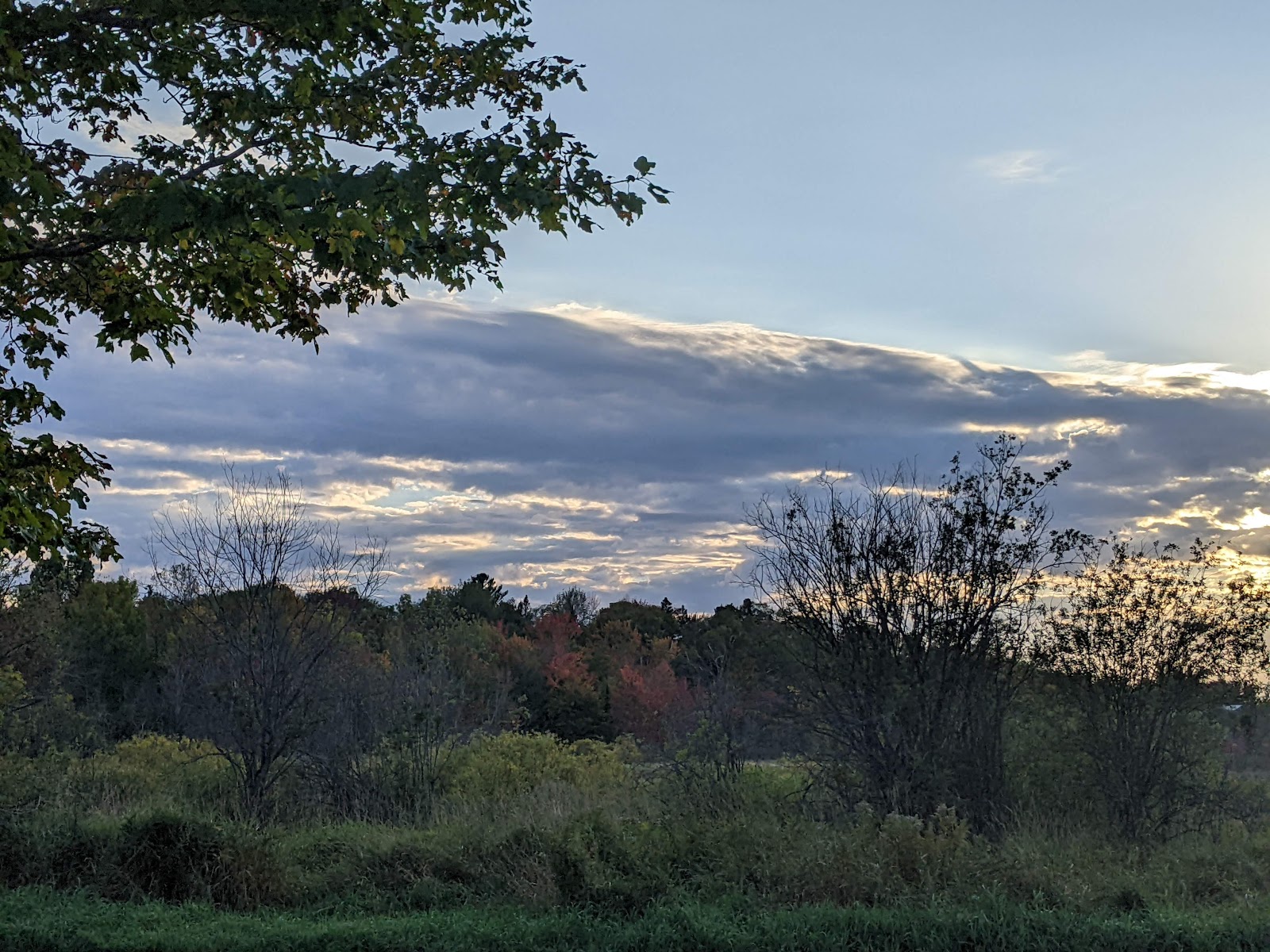 River Pines RV Park and Campgrounds