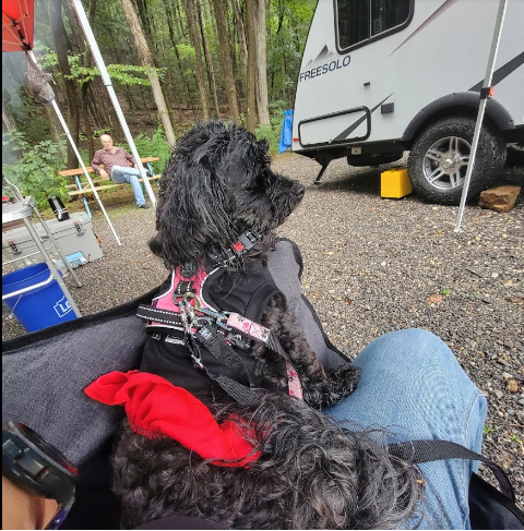 Shady Brook Campground & Boat Rental, LLC