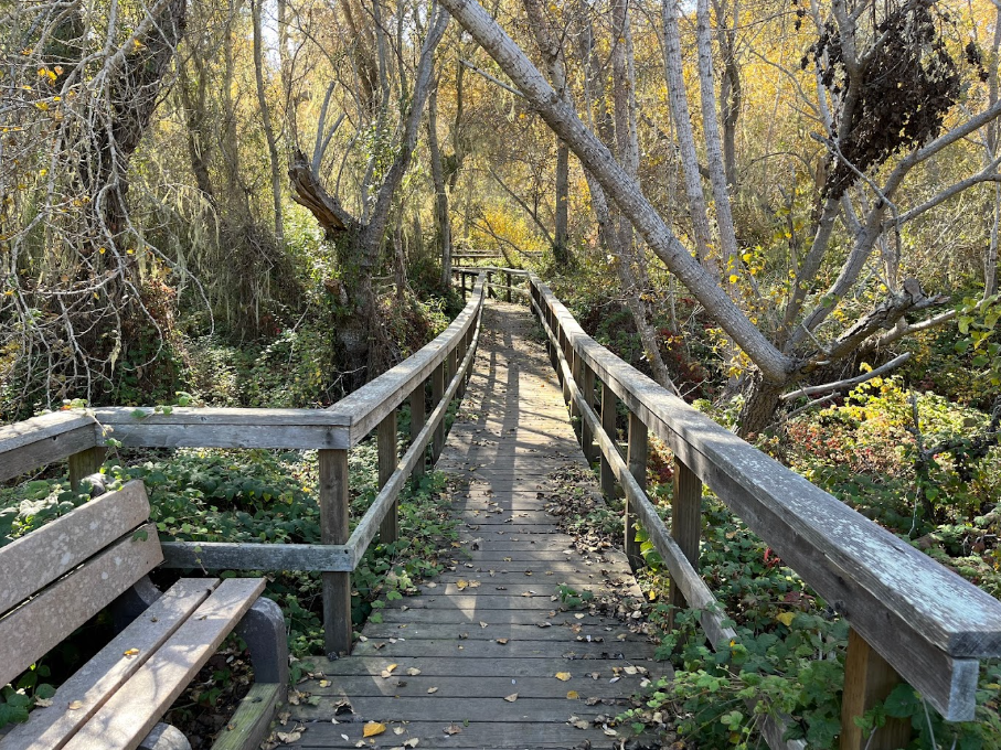 Hearst San Simeon State Park