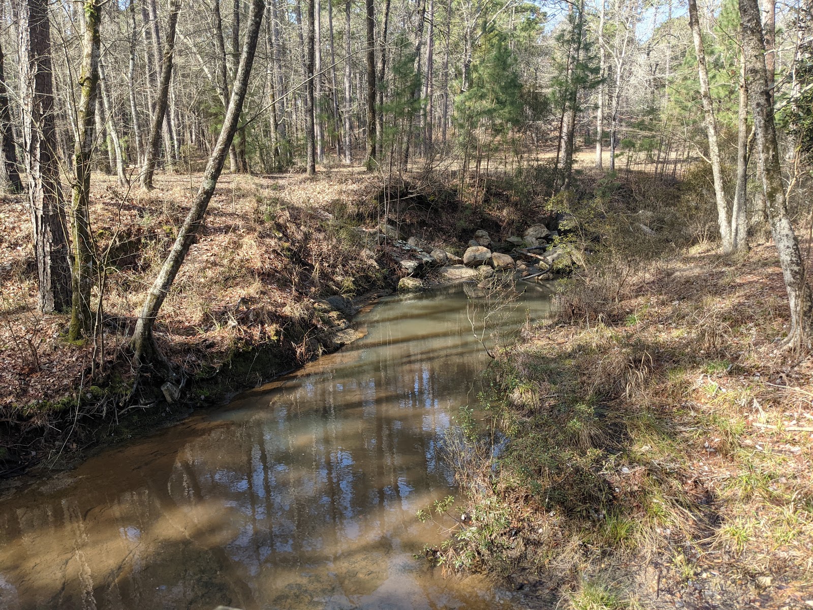 Boykin Springs NF Campground