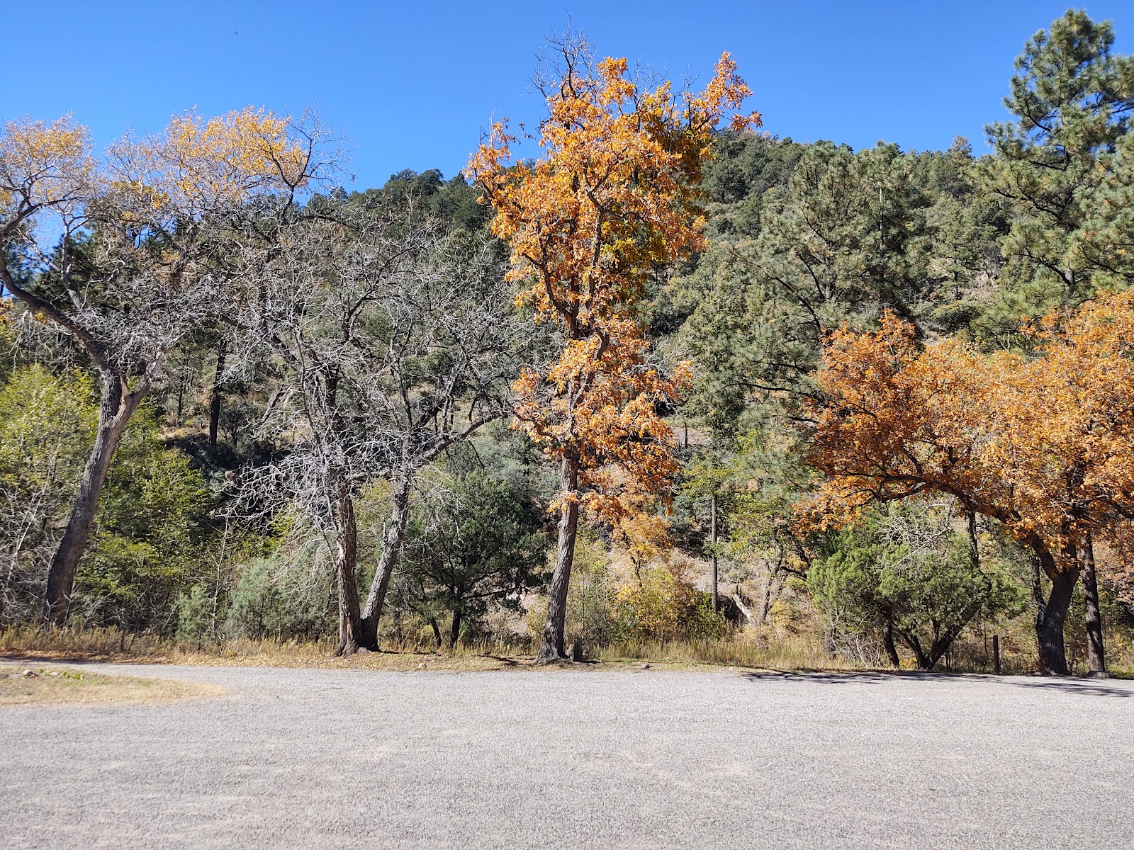 Gallinas Campground - Upper