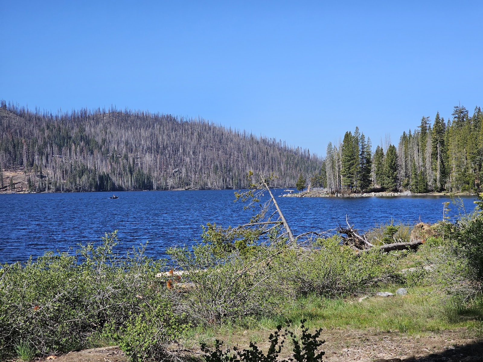 Deer Creek Campground