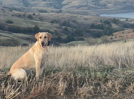 Oahe Lodge & RV Resort