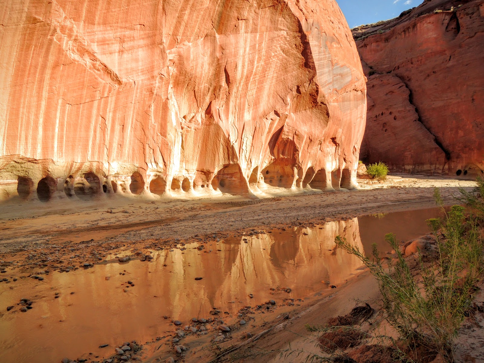 White House Trailhead Camp