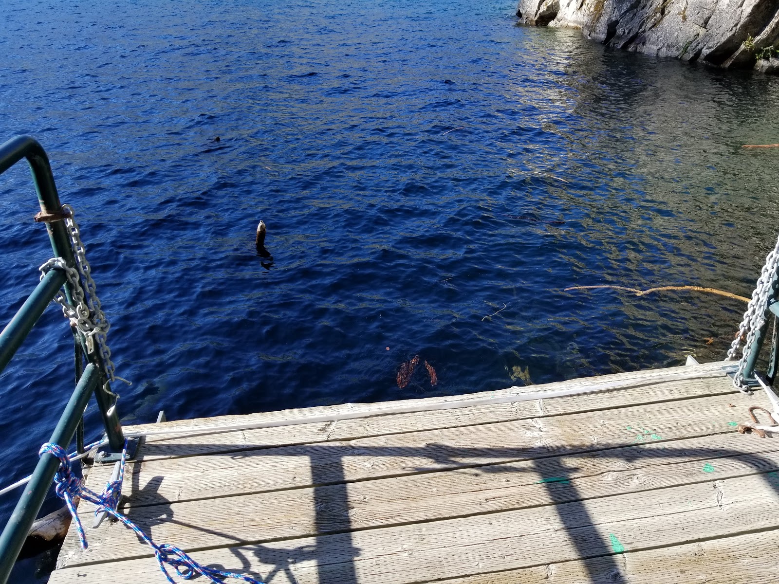 Safety Harbor Campground