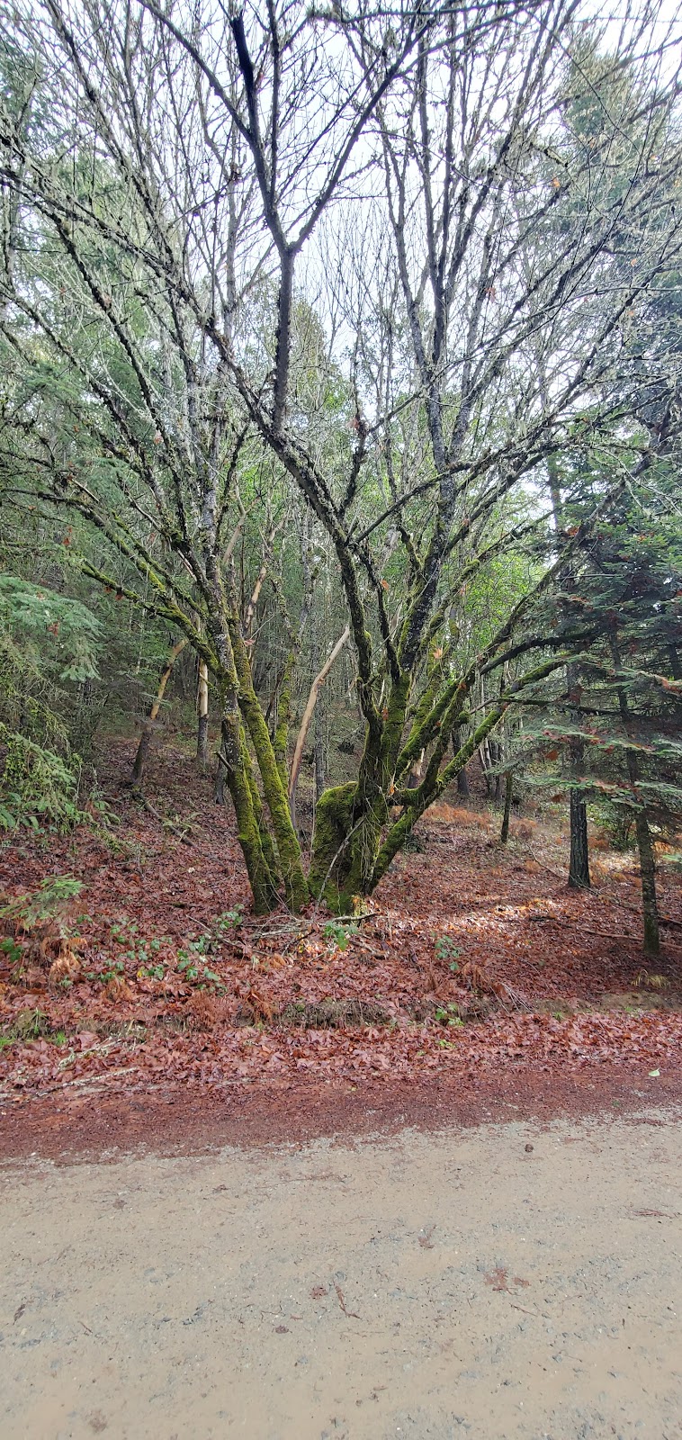 Meadow Wood RV & Campground