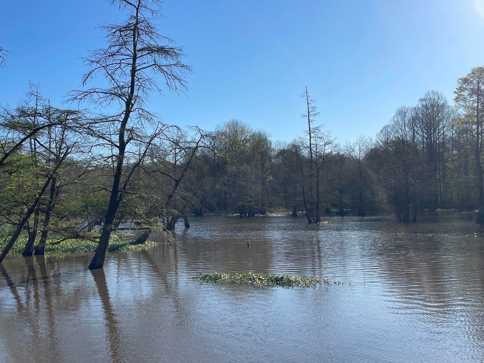 Leake County Water Park