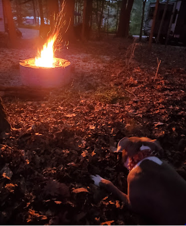 Merry Meadows Recreation Farm